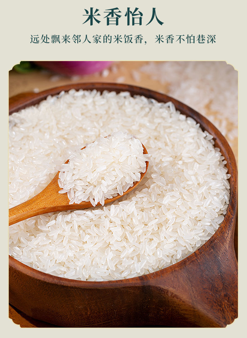 东北黑龙江五常长粒香米5kg农家自产10斤大米新米 东北真宗长粒香产地