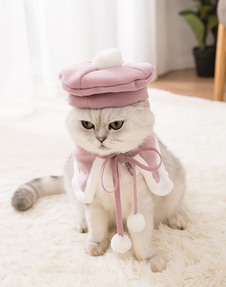 猫咪披风贝雷帽无毛猫蓝猫春秋装加厚款宠物衣服小猫猫英短披风俏皮粉