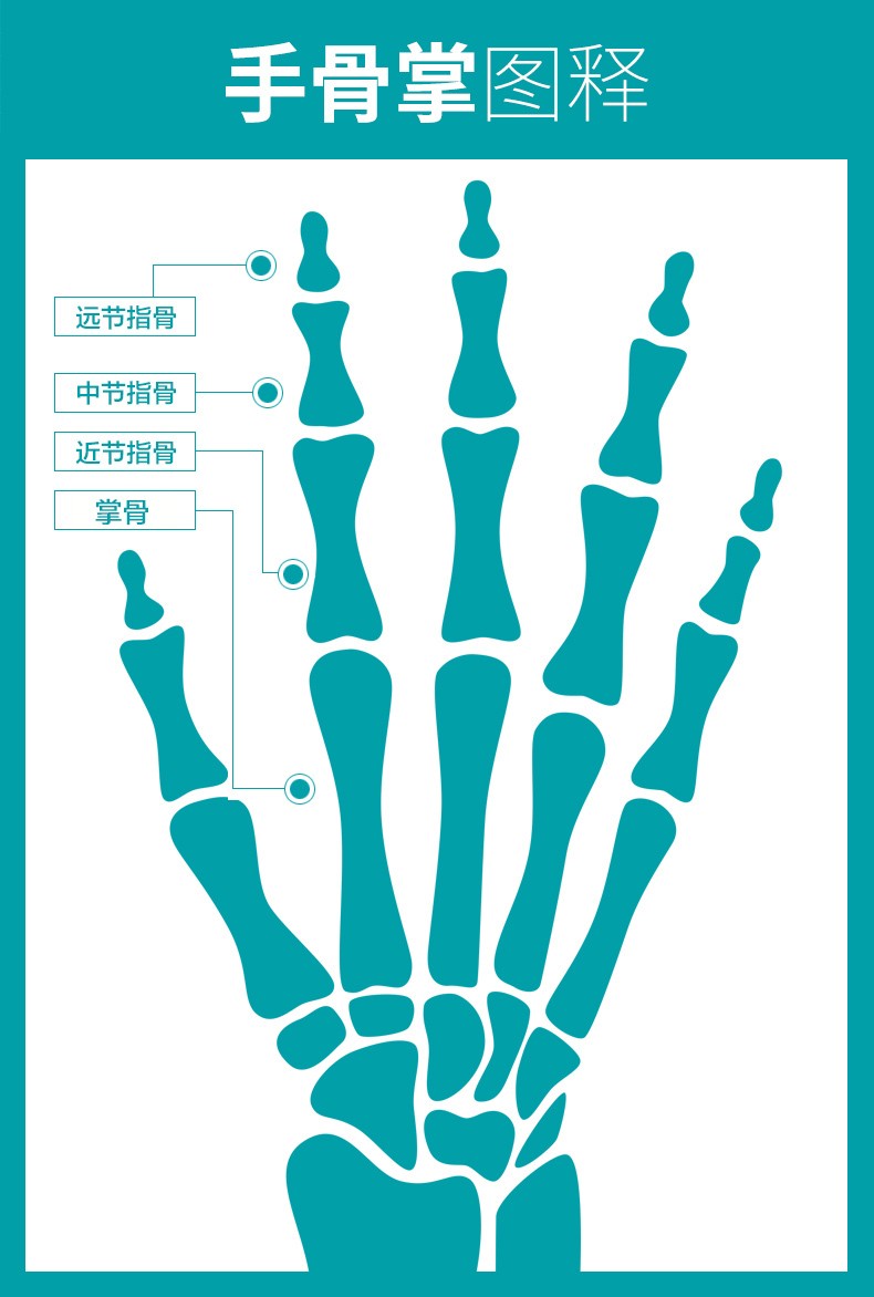 手指矯正器骨折固定夾板關節兒童大拇指腱鞘炎指套支具錘狀指單片型