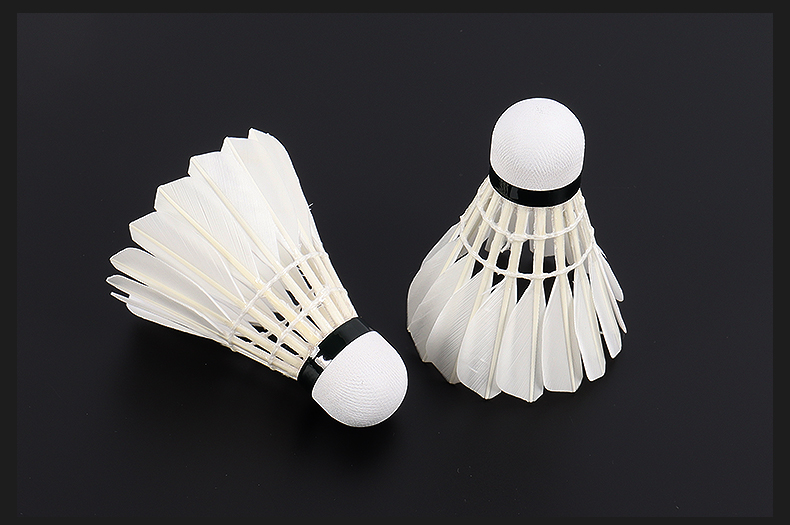 亚狮羽毛球龙7gamersl7game羽毛球耐打稳定俱乐部用球