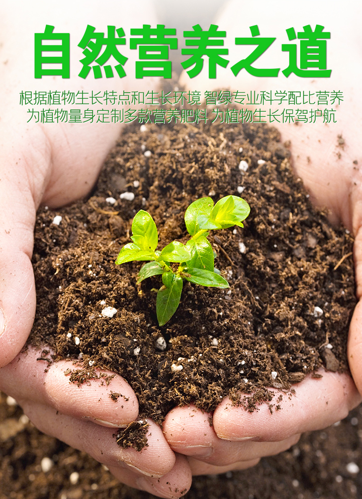 闪电针水溶肥花肥家用通用型家庭园艺花多多养花肥料氮磷钾肥骊歌硫酸