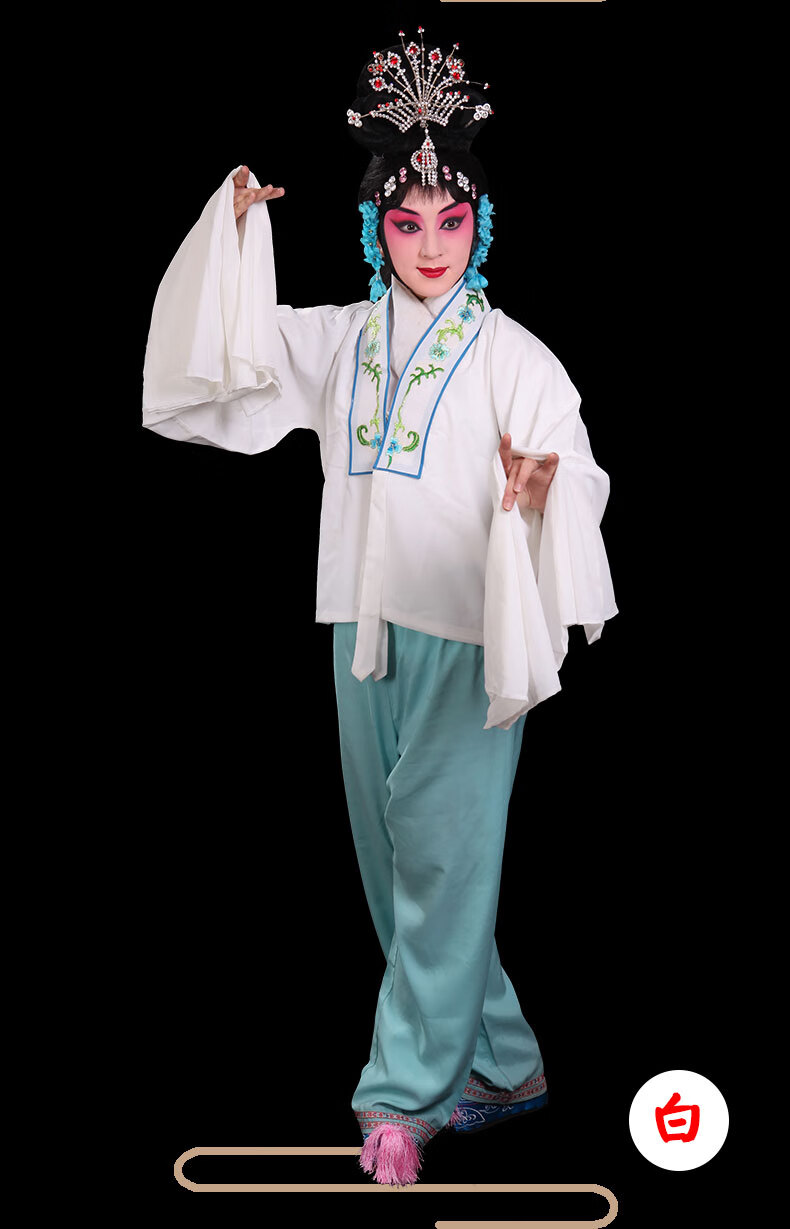 戏装京剧戏服戏曲服装戏剧花旦小姐服青衣水袖女舞蹈 练功服 茄子色