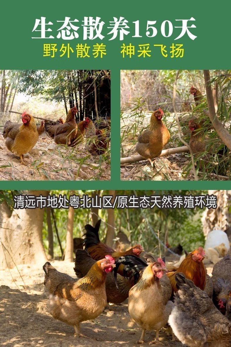 0kg店铺:汇丹香蜜饯果干专营店商品编号:10045120045468商品名称:广东