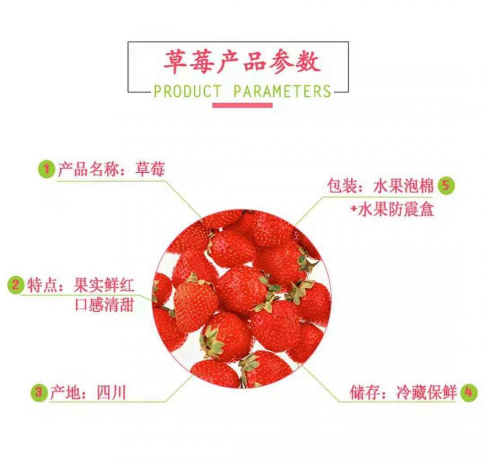 草莓品种大全名称图片