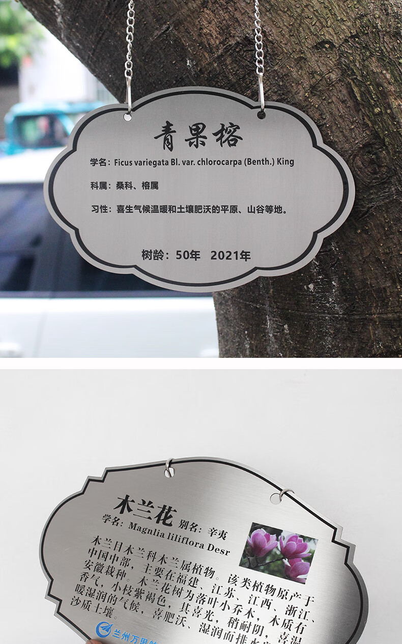 牌腐蚀刻字金属标签吊牌定制绿植名称挂牌制作苗木植物介绍标牌铝板校