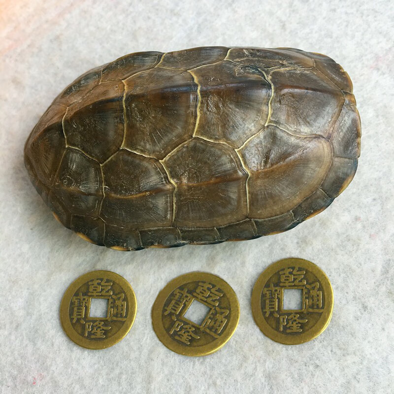 六爻卜卦工具 龟壳摇卦六十四卦工具富甲天下六爻卦具铜乌龟壳起卦