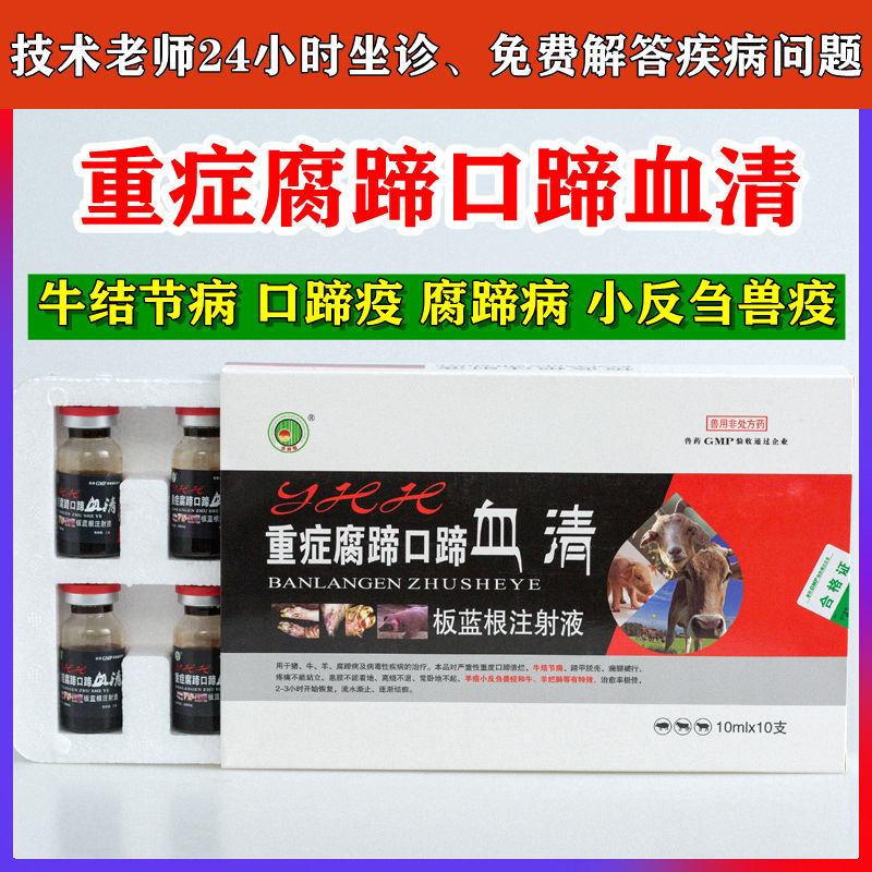 板蓝根血清注射液重症病蹄口蹄血清瘸拐跛行腐蹄干扰素 腐蹄口蹄