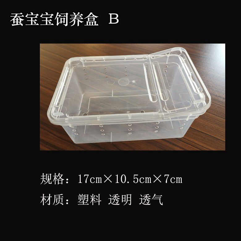 养蚕盒子蚕宝宝饲养盒放大镜观察箱透气带孔小蚕分养盒蚕卵孵化盒h1