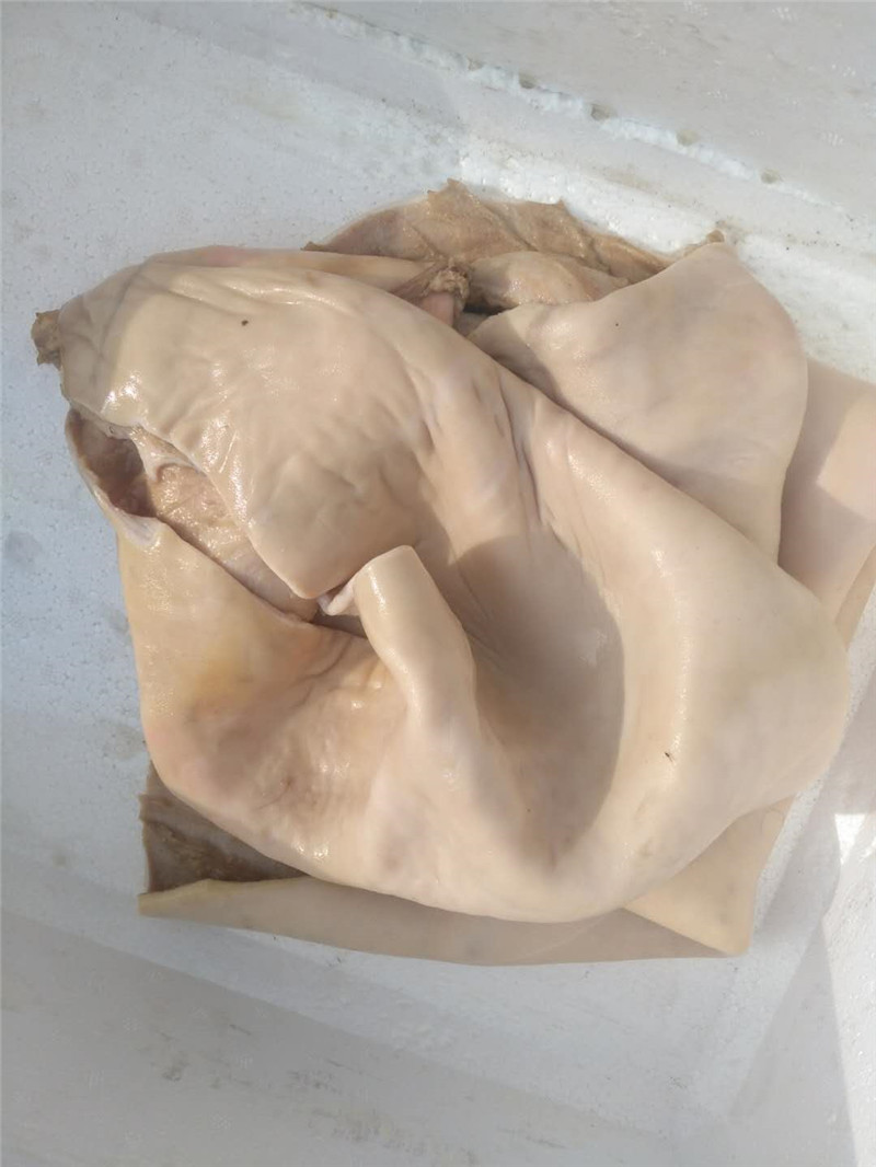 驴皮 新鲜生驴皮 真空去毛驴皮 新鲜现杀 阿胶熬制原料 顺丰保鲜运输