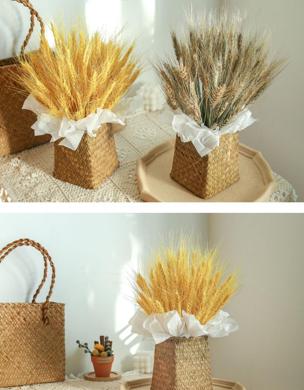 2022新款麦穗干花花束客厅摆设家居小麦装饰真花干枝昆明带瓶南栖于野