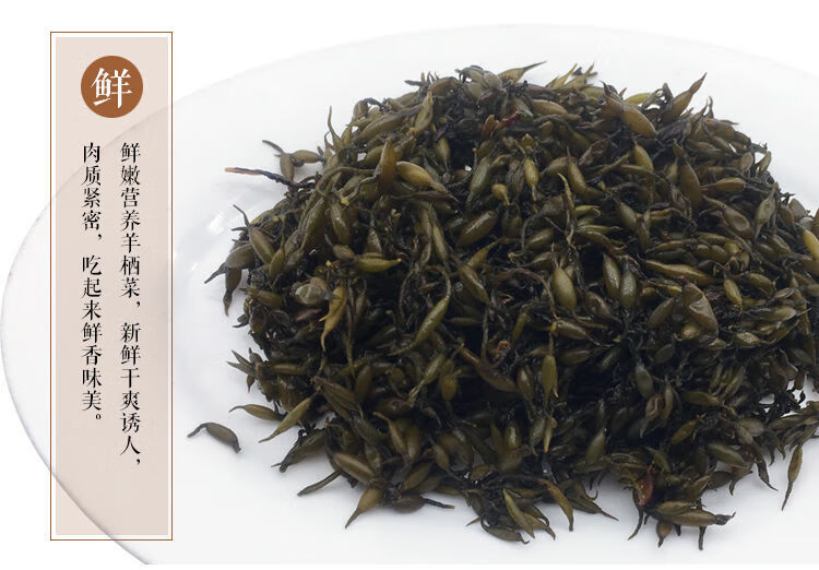 鹿角菜 打卤面 洞头海鲜长寿菜鹿角菜鹿尾菜海藻羊栖菜干货火锅菜