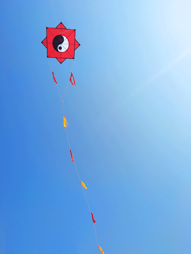 太极八卦风筝大型成人伞布树脂杆抗大风飘尾线轮套餐仅10米伞布黑色