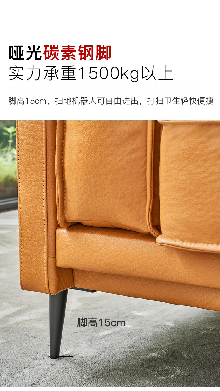 望振沙发现代简约免洗科技布沙发弹簧底座实木框架乳胶弹力海绵小户型