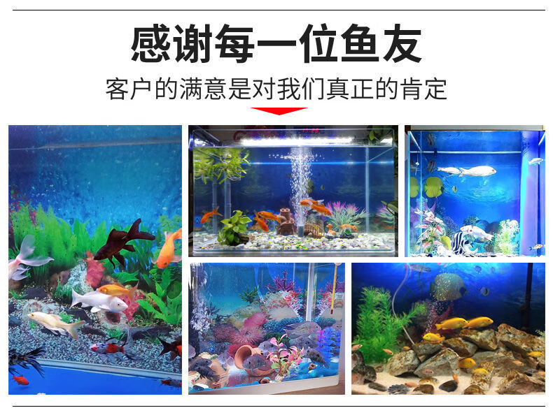 鱼缸背景贴纸3d背景图高清水族鱼缸壁纸造景装饰画珊瑚石纸画水族箱高清背景画鱼缸贴纸壁纸壁画鱼缸用品a款式30高 42长 双面款 图片价格品牌