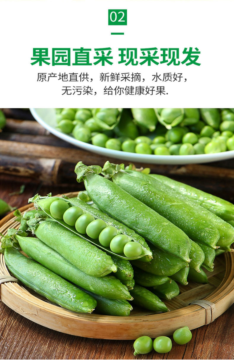 云南当季新鲜豌豆荚带壳豌豆角青豆现摘现发整箱批发5斤精选新鲜现摘