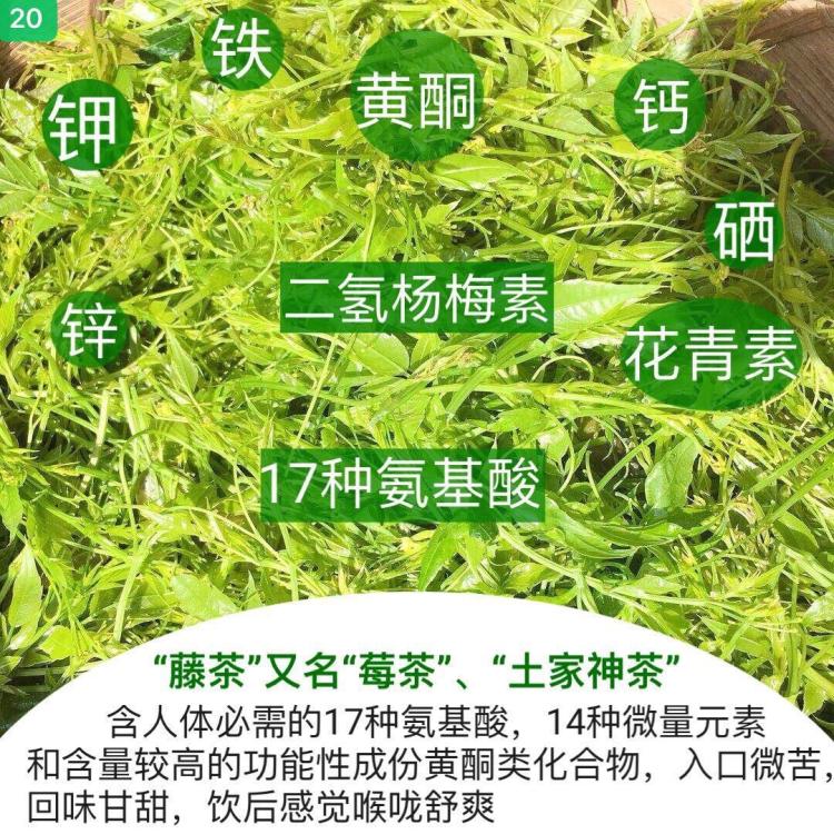 莓茶张家界礼盒罐装芽尖长寿藤霉茶湘西土家神茶莓茶【图片 价格 品牌