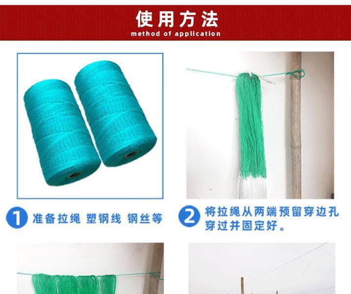 爬藤网种植网豆角网绳荷兰豆种瓜户外爬藤架蔬菜果蔬通用盆栽苦瓜1个