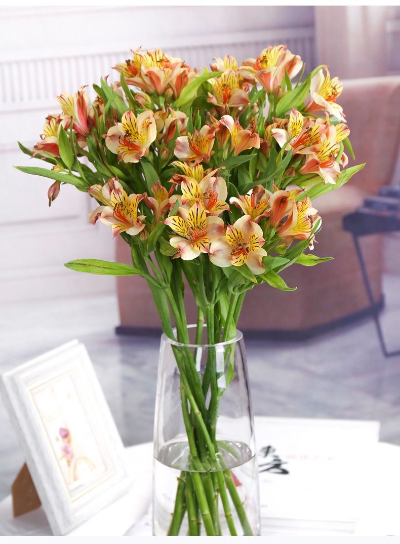 六初花居家装饰花束空运【水仙百合】云南鲜花基地直销批发 水仙百合
