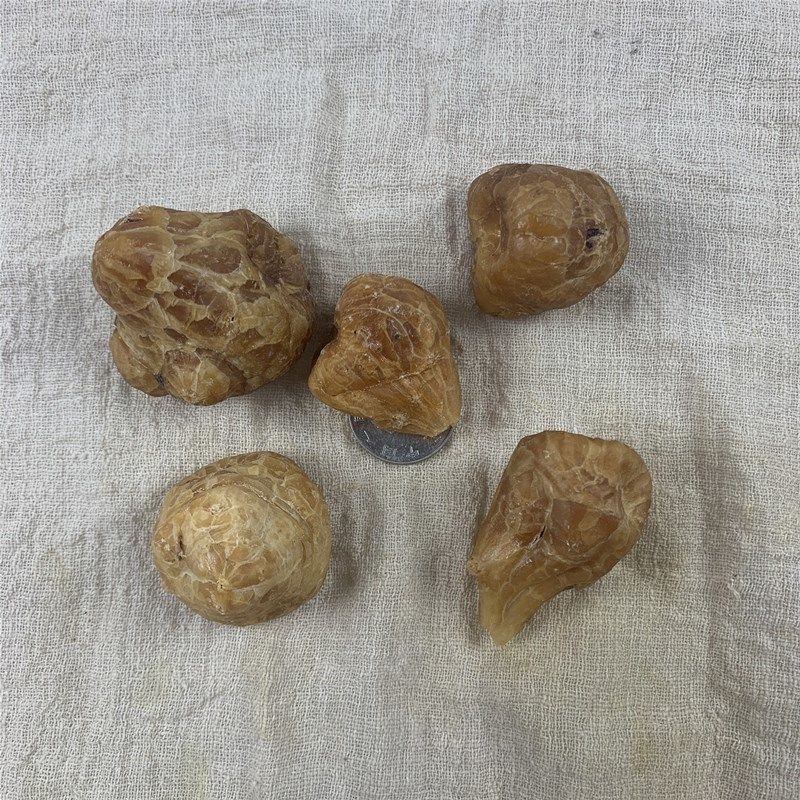 炮天雄天雄散 古法扶阳姜润炮天雄粉江油白幕炮天雄个 250g【图片