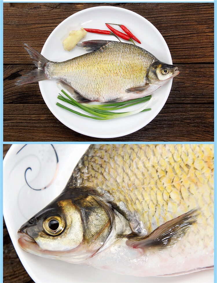 千岛湖鳊鱼淡水鳊鱼三角鲂团头鲂活鱼现杀鲜活水产 富铭士 3斤【图片 