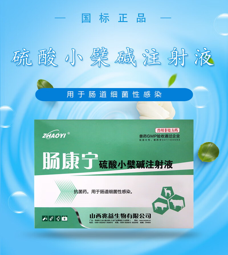 兽药兽用硫酸小檗碱注射液猪牛羊用肠炎抗菌消炎羊羔腹泻拉稀细菌感染
