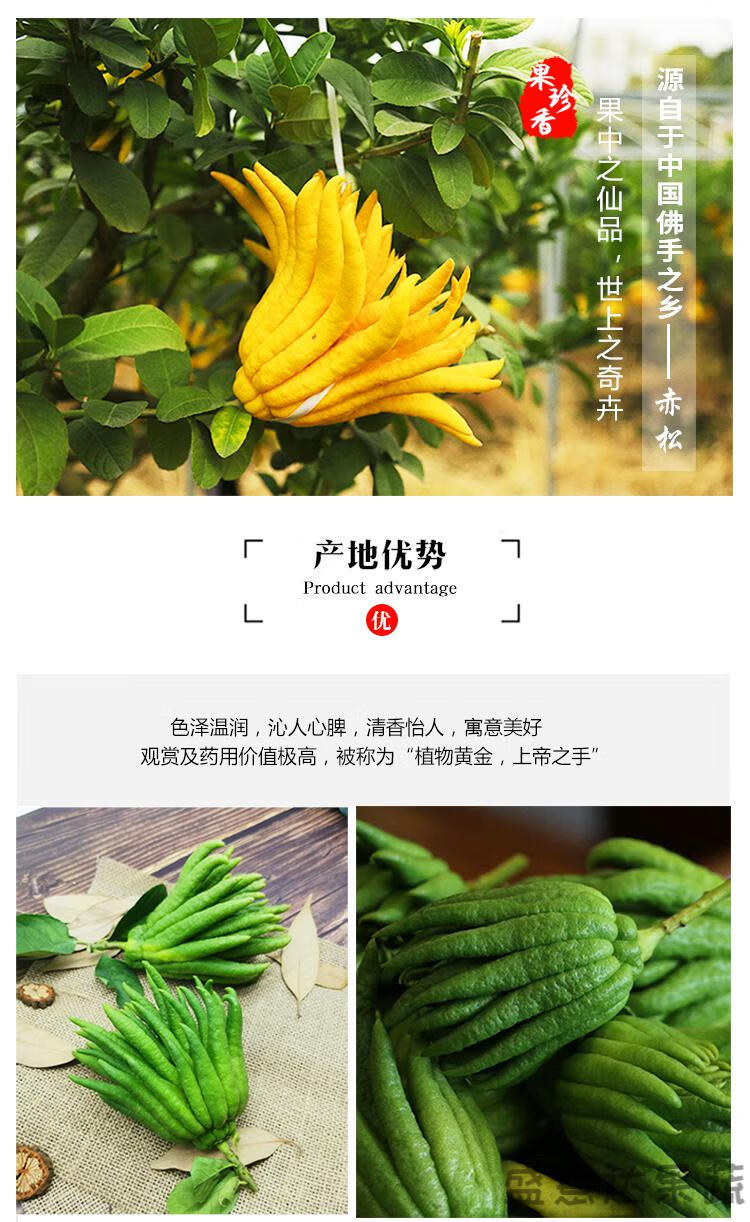 金华新鲜采摘食用佛鲜果香橼清供观赏佛瓜带枝水养黄果不带枝3斤中大