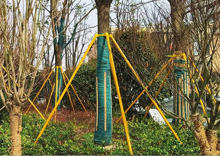 树木支撑固定器套杯绑带树木防风防倒支撑架木树支架支撑固定器36公分