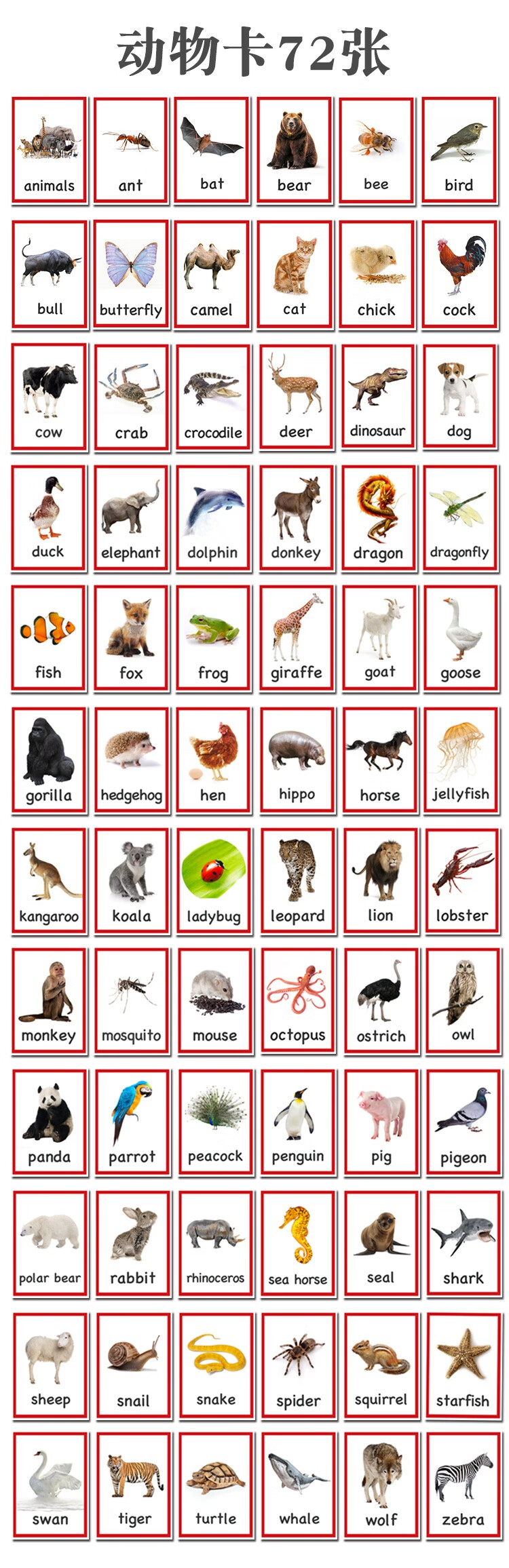 卡片早教 英语卡片闪卡animal动物卡72张儿童实物图单词卡早教教师