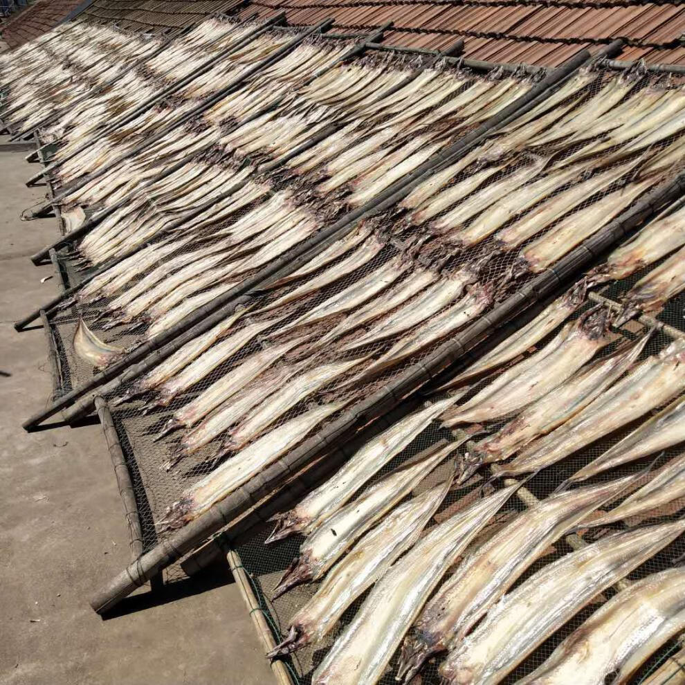 淡干鳗鱼干 低盐自晒新鲜淡干鳗鱼干 渔民自晒海鳗鱼海鲜干货 一斤半