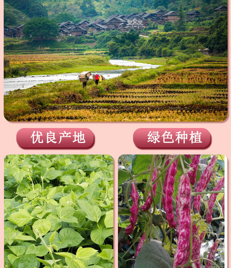 晨臻新鲜花豆饭豆贵州雀蛋豆散装2斤农家自种特产干豆米四季五谷杂粮