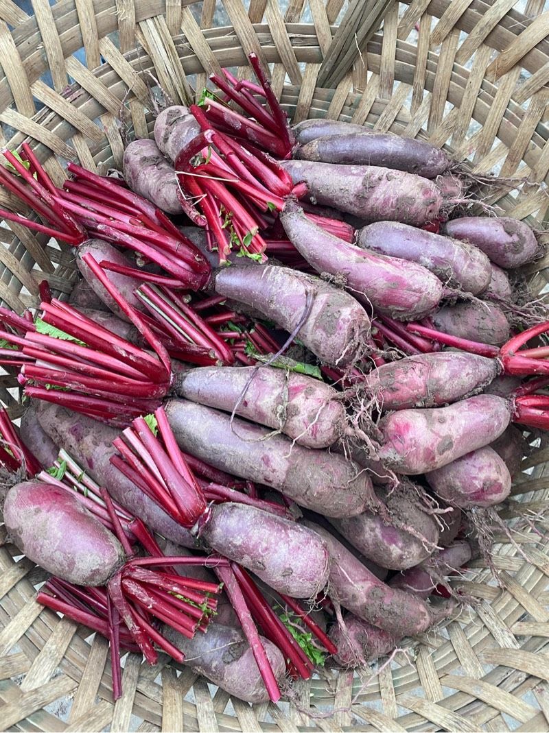 重庆涪陵特产红皮红心散种胭脂萝卜1斤泡菜萝卜红萝卜新鲜5斤装2斤装