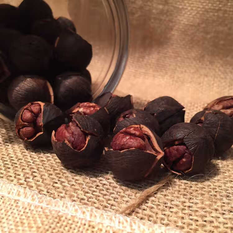 新货手拨山核桃临安手剥小核桃500g罐装野生水煮黑核桃散装坚果仁