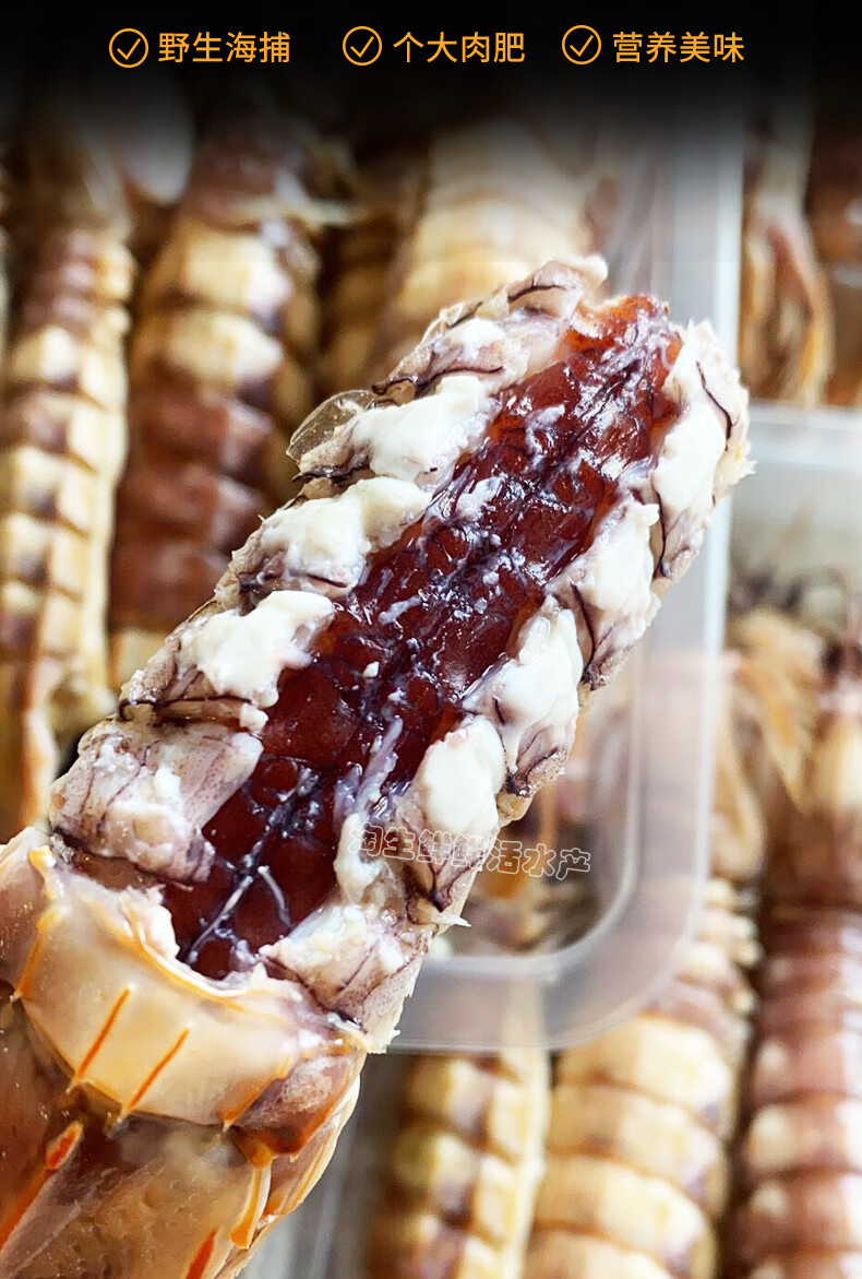 全母皮皮虾鲜活全膏带籽全虾爬子即食濑尿虾海鲜水产椒盐虾婆一斤