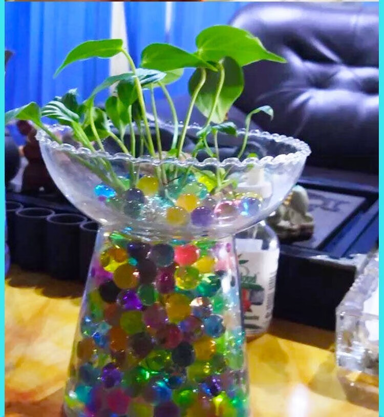 水珠宝宝七彩水精灵水宝宝玩具水养儿童泡水膨胀球海绵宝宝 1000颗珠