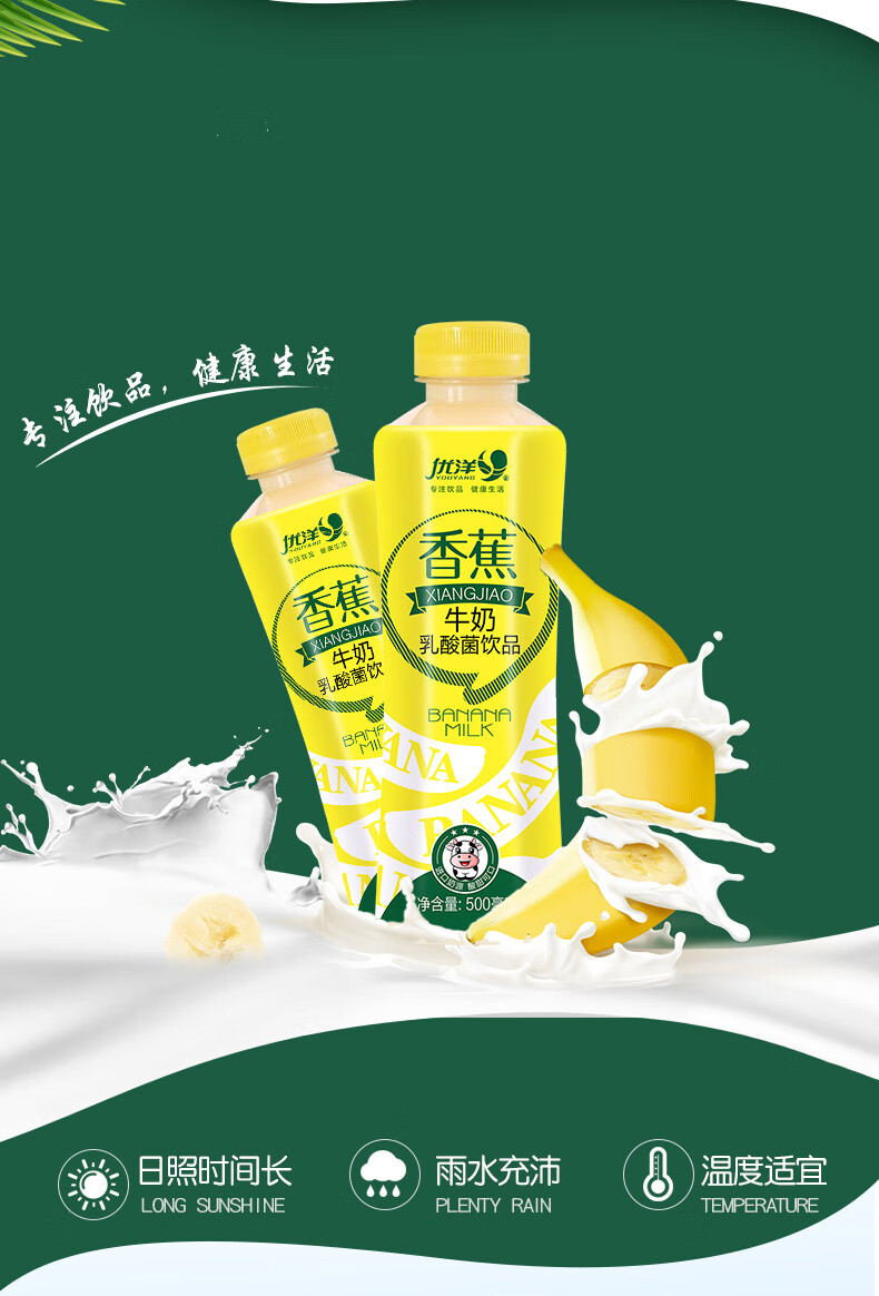 优洋风味饮料 500ml*15瓶 香蕉牛奶整箱 早餐奶 乳味饮品 芒果木瓜