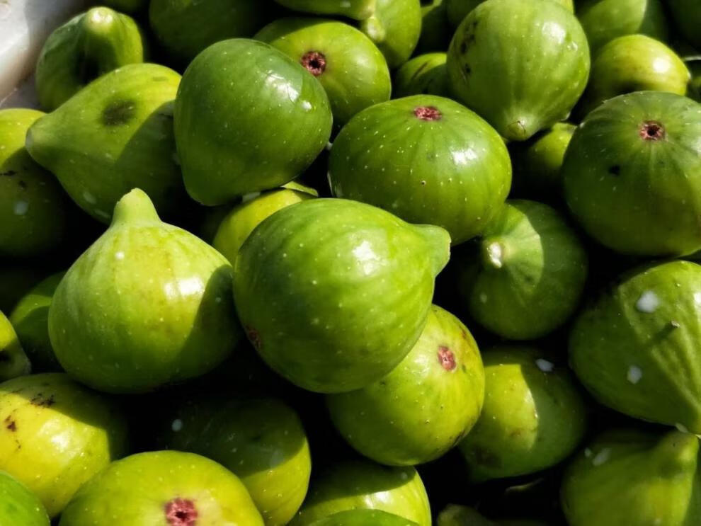 水果 更多水果 赣馨园 3斤新鲜无花果鲜果威海青皮无花果,甜糯爽口