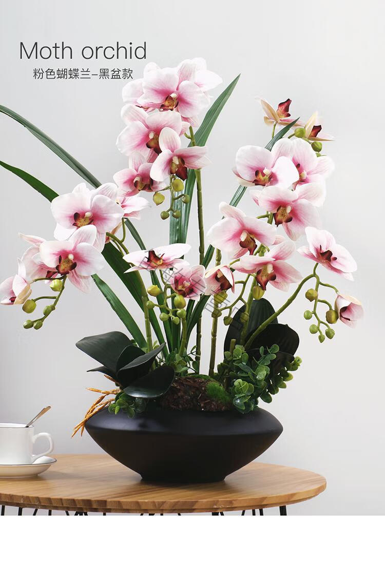 大型手感蝴蝶兰大花仿真花套装花卉盆栽绿植办公室前台室内客厅玄关假
