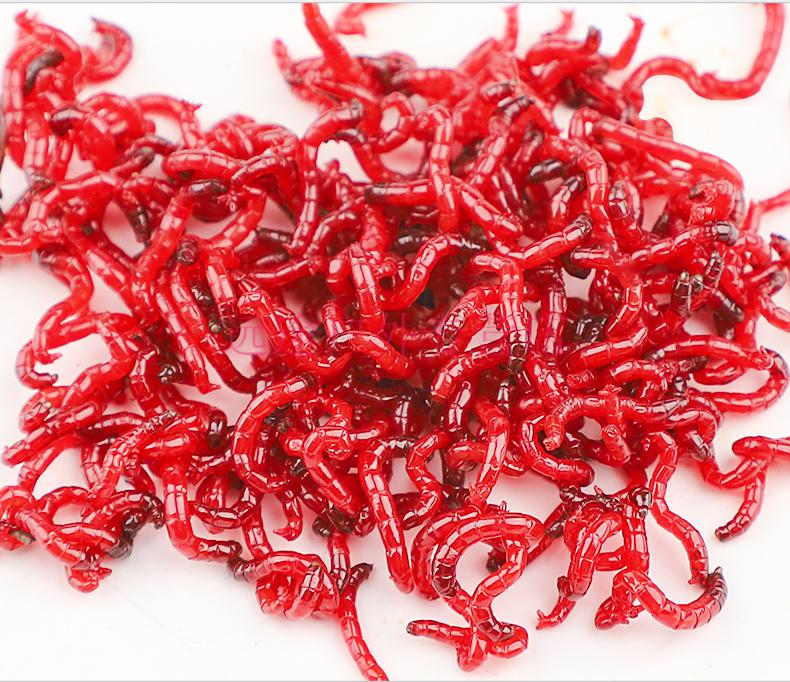 鲜活红虫特大号公虫活体活饵喂鱼饵拉饵鲫鱼野钓饵料钓鱼蚯蚓鱼饵顺丰