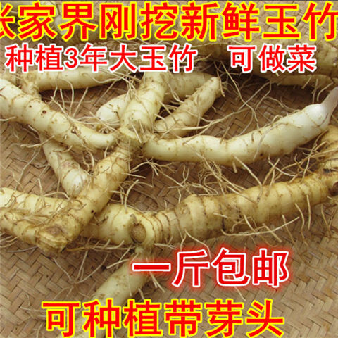 玉竹配麦冬 500克一斤新鲜玉竹