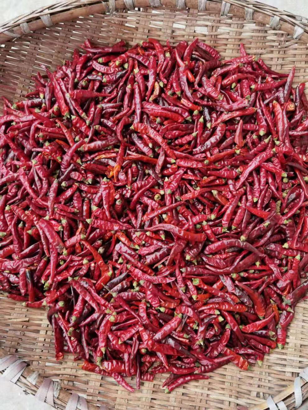 今明后贵州特产特辣虾子辣椒胡辣椒面手工自制辣柴火胡辣椒微辣调料