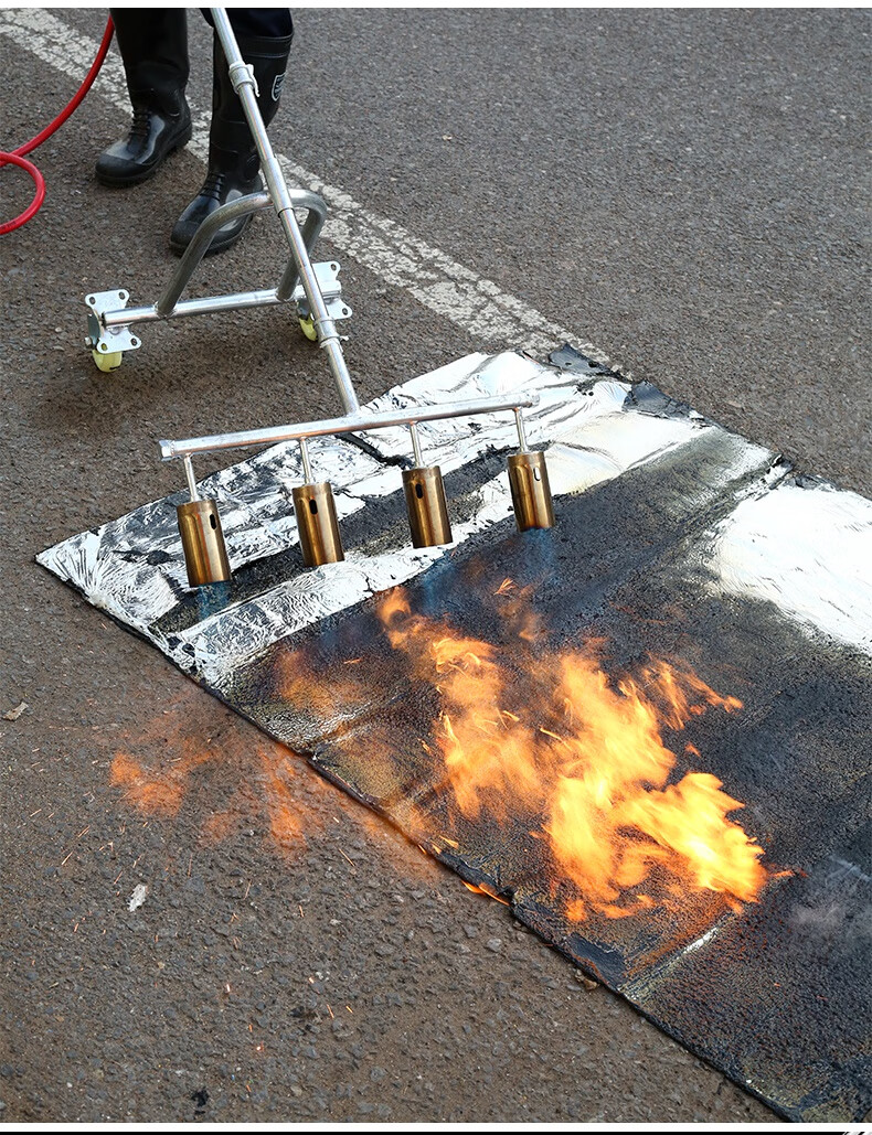 火焰枪消毒火枪多头喷火枪液化气喷枪头煤气喷火器养殖场猪圈高温 【4