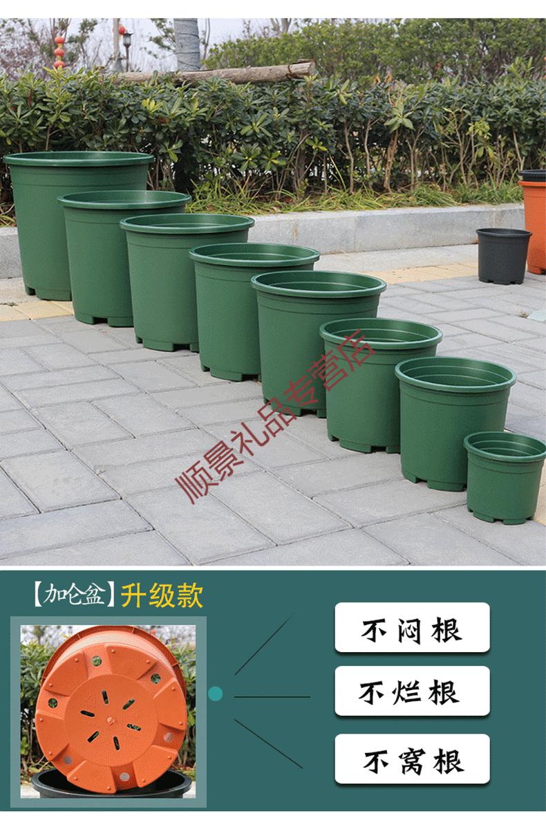 新款二代加仑盆加厚树脂塑料花盆月季多肉绿萝阳台种花菜园艺批发红色