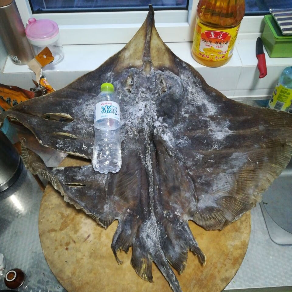 老板鱼干鱼肉皮鱼鳐鱼干咸鱼海鲜干货去头淡干老咸鱼魔鬼鱼劳鱼干