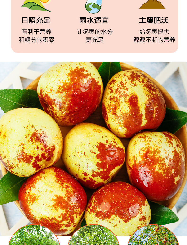 更多参数>>原产地:山东特产品类:沾化冬枣包装形式:礼盒装品种:冬枣