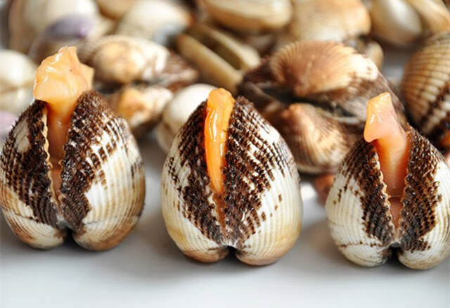 野生毛蛤鲜活蛤蜊 赤贝蛤蜊水产海鲜毛蚶血蛤 一斤(不)