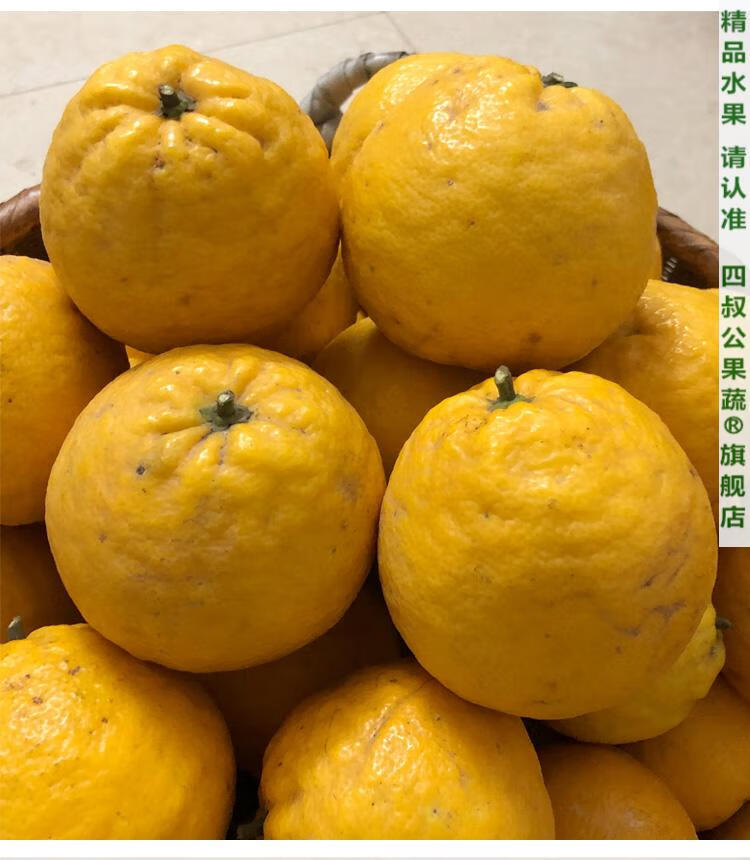 湖北臭皮柑 酸抛柑臭皮橘子抛柑新鲜黄皮水果苦酸泡柑酸柑子 精选果 5