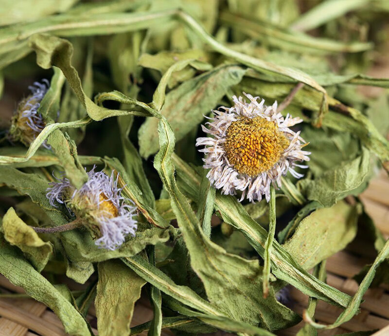 云南中药材灯盏细辛灯盏草灯盏花100克250克500克1000克九九和仁100g