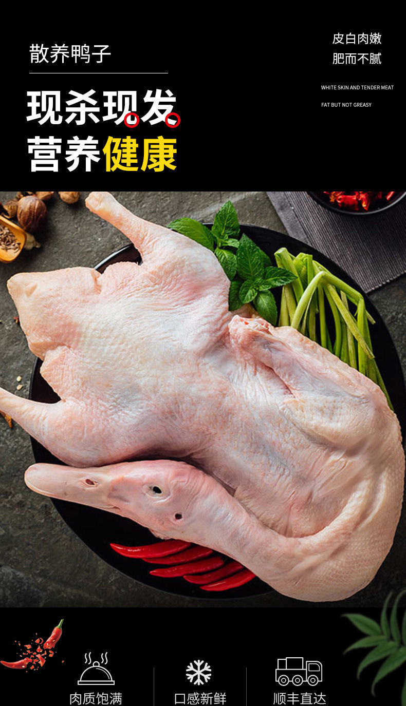 鸭子农家散养老鸭1500g新鲜水鸭土鸭整只现杀鸭肉母鸭子4斤左右一只
