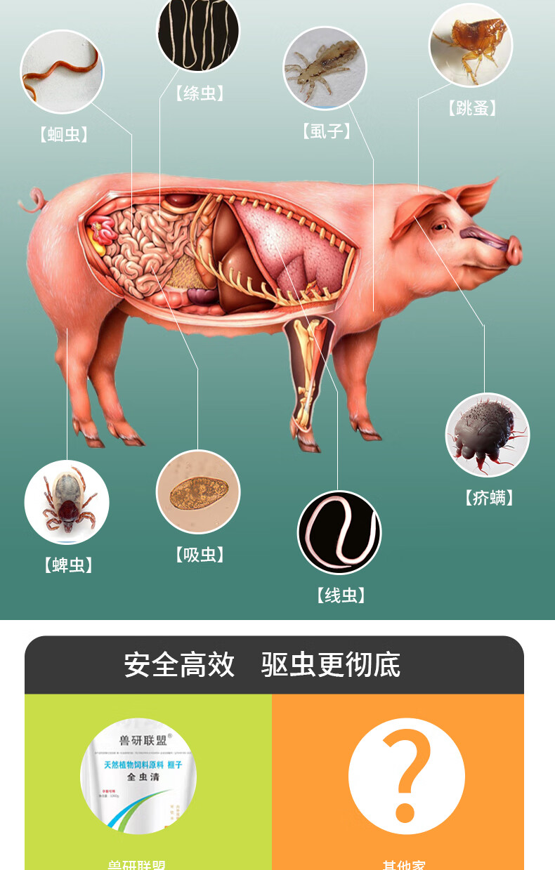 牛线虫病症状图片