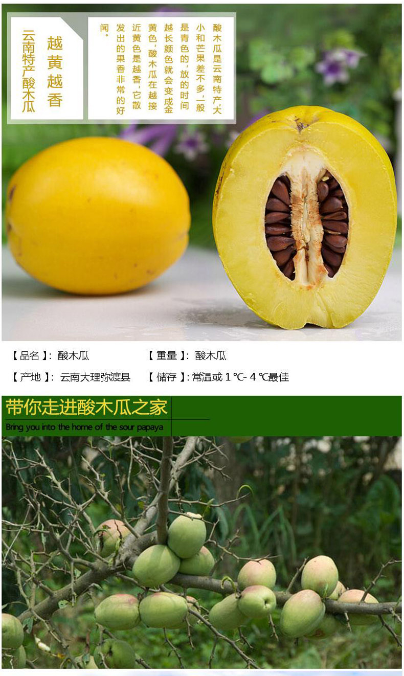 御农优品 云南特产新鲜酸木瓜 青脆木瓜水果 3斤装
